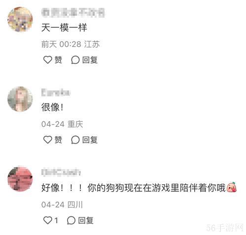 强推!申请以闪亮之名游戏加入养宠人必入清单