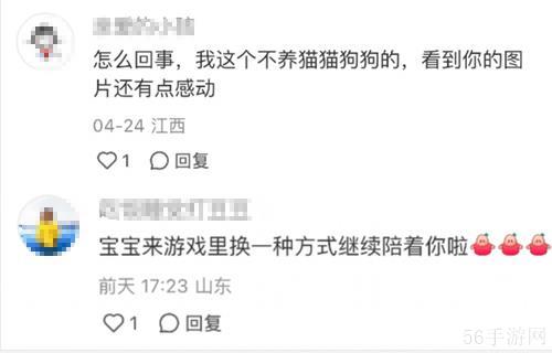 强推!申请以闪亮之名游戏加入养宠人必入清单