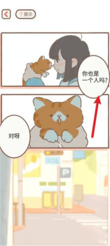 遇见你的猫怎么变成人_变人形条件策略汇总