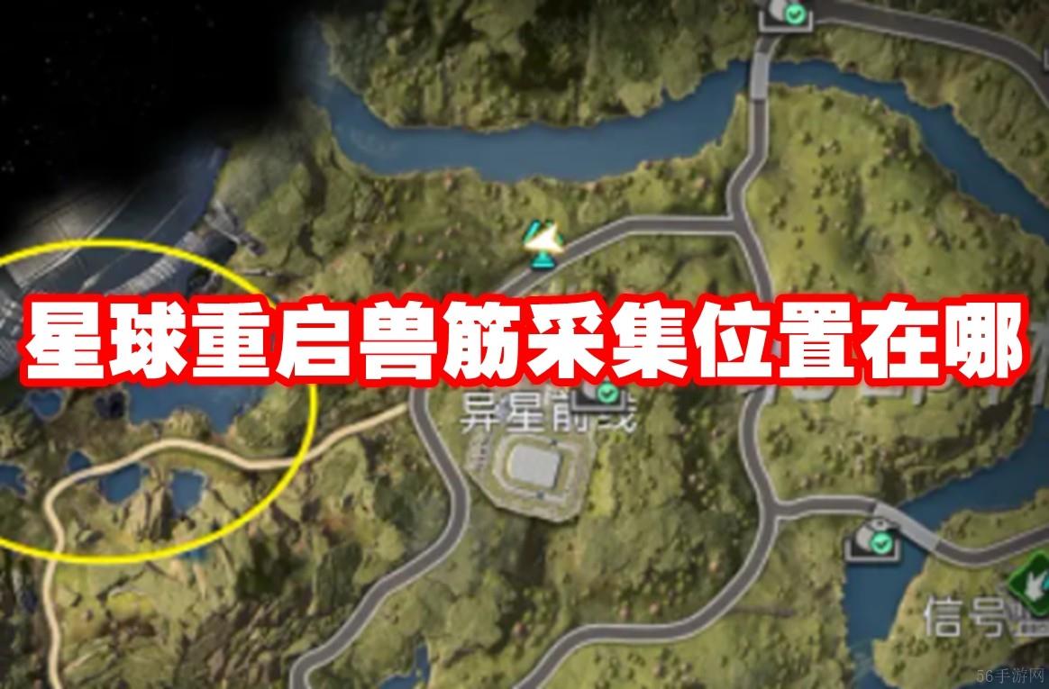 星球重启兽筋采集位置在哪