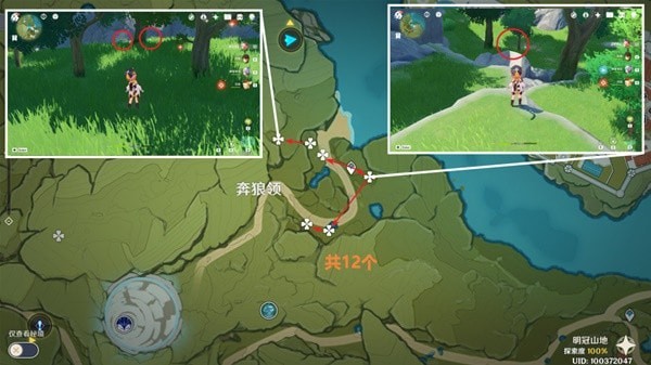 原神3.4小灯草收集路线大全