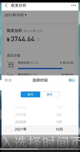 2021支付宝怎么查年度账单消费多少