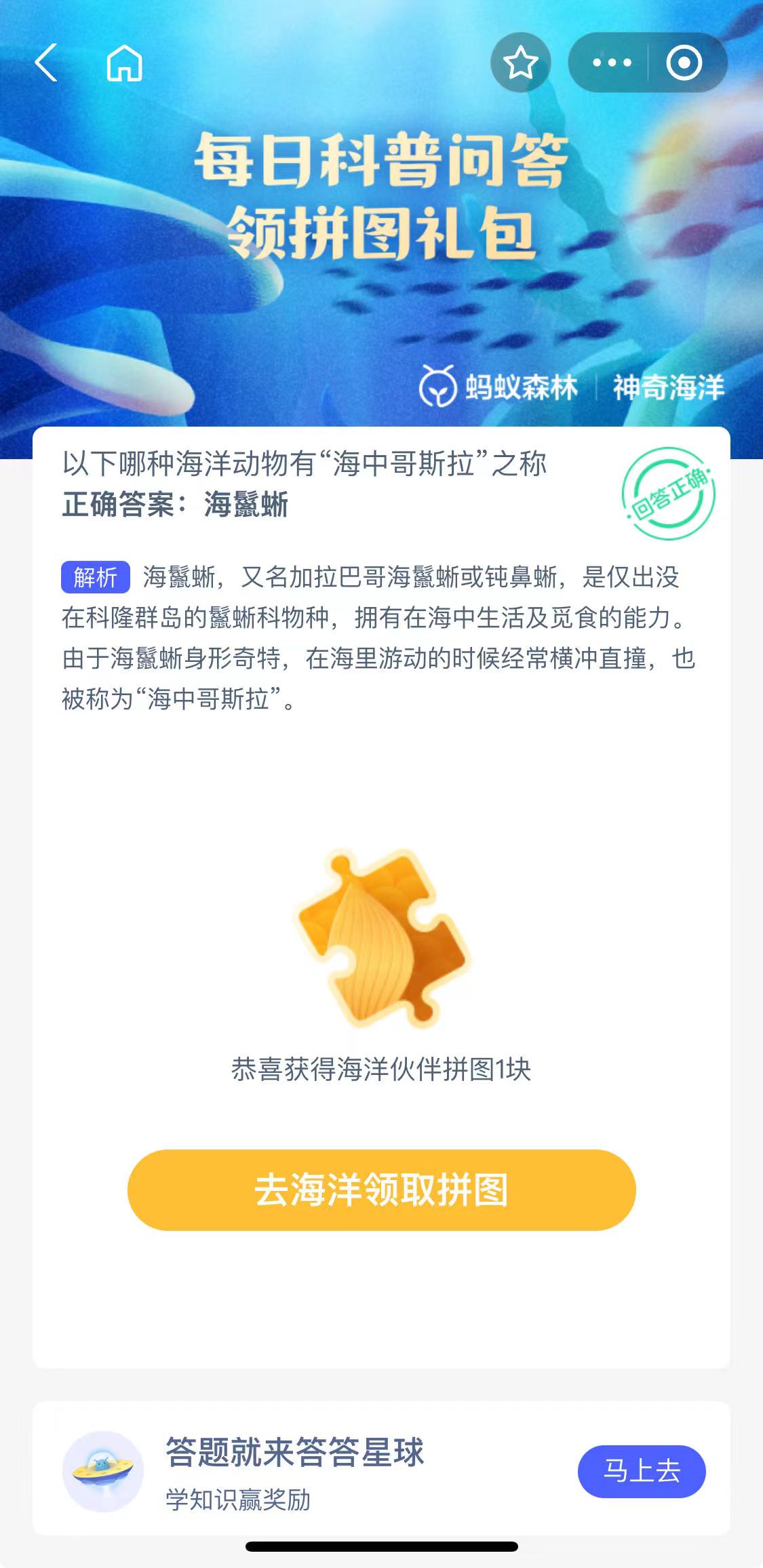 以下哪种海洋动物有“海中哥斯拉”之称