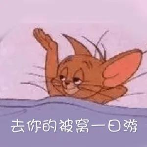 去你的被窝一日游表情包