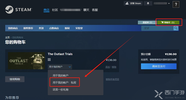 steam怎么把游戏隐藏不给别人看