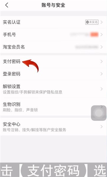 支付宝怎样改支付密码