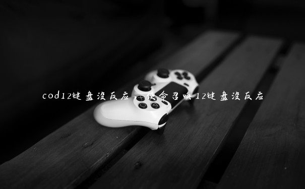 cod12键盘没反应，使命召唤12键盘没反应