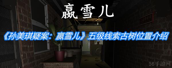 《孙美琪疑案：嬴雪儿》五级线索古树位置介绍